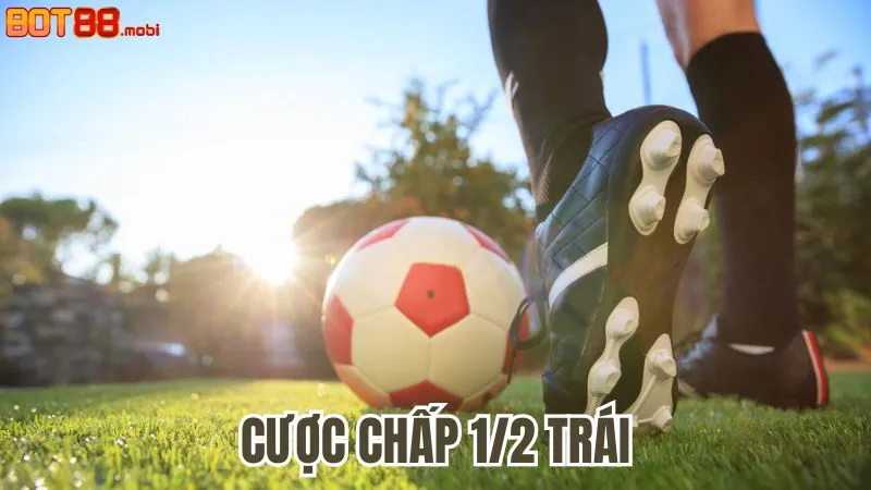 Cược chấp 1/2 trái: Hướng dẫn từ A-Z cho người chơi cá cược 3 Kinh nghiệm đặt cược chấp 1/2 trái hiệu quả